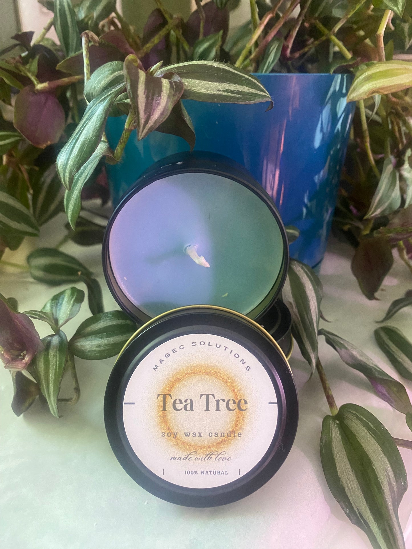 Tea Tree candle