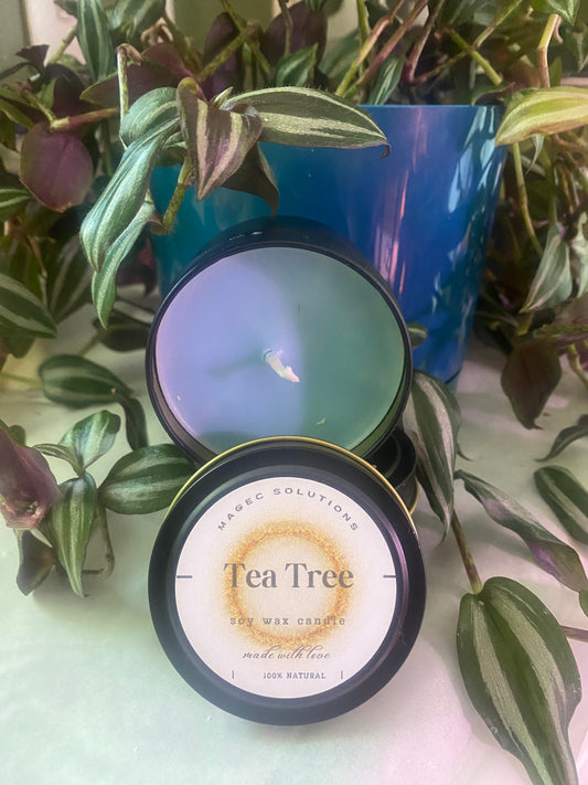 Tea Tree candle