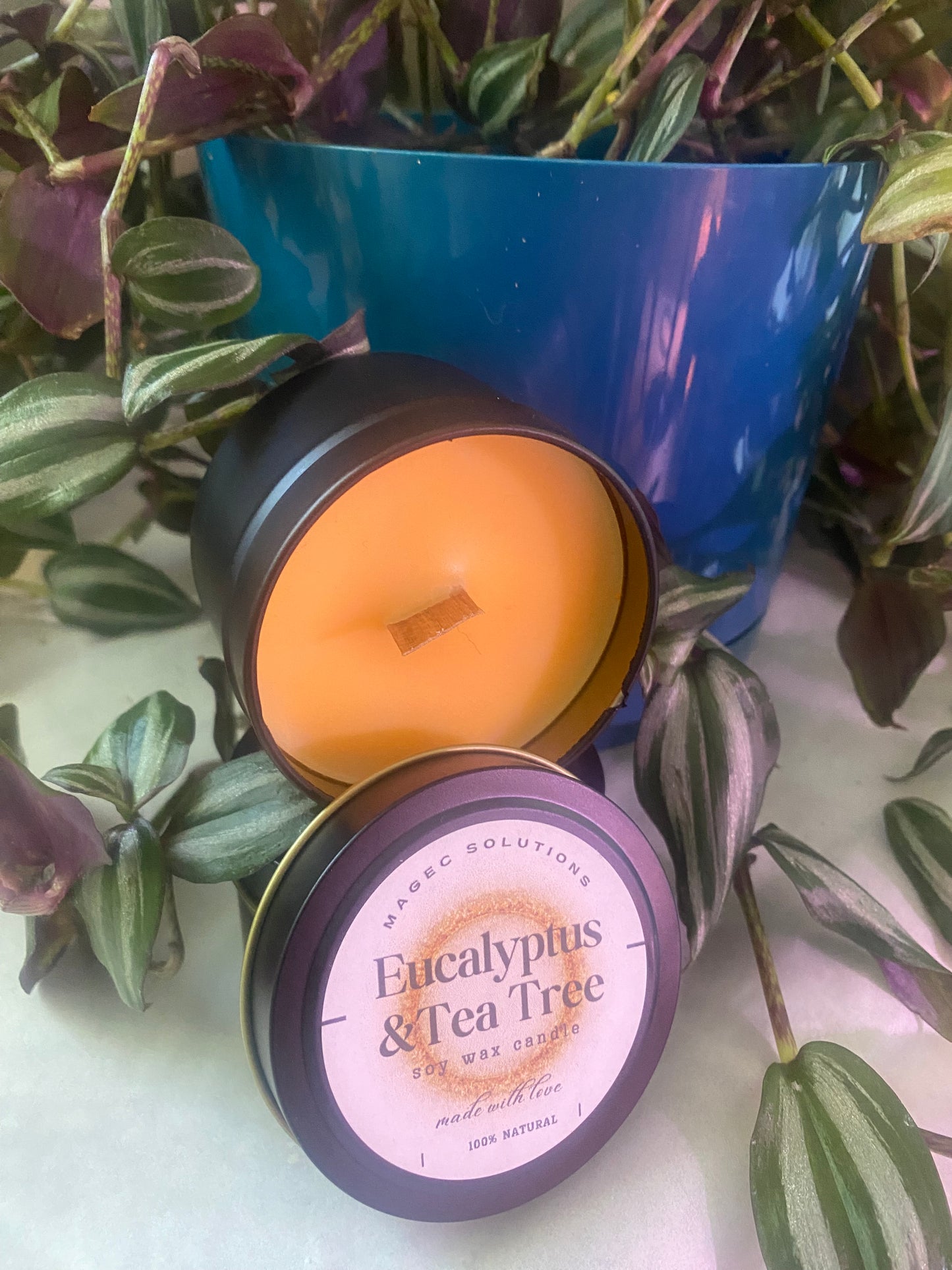Eucalyptus & Tea Tree Candle